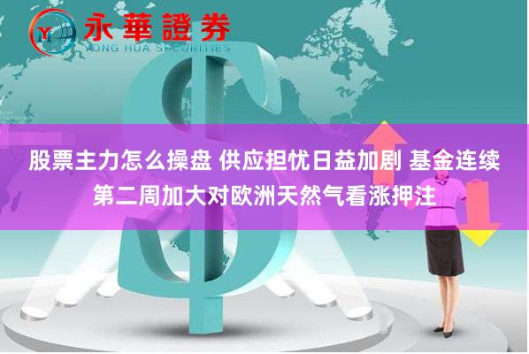 股票主力怎么操盘 供应担忧日益加剧 基金连续第二周加大对欧洲天然气看涨押注